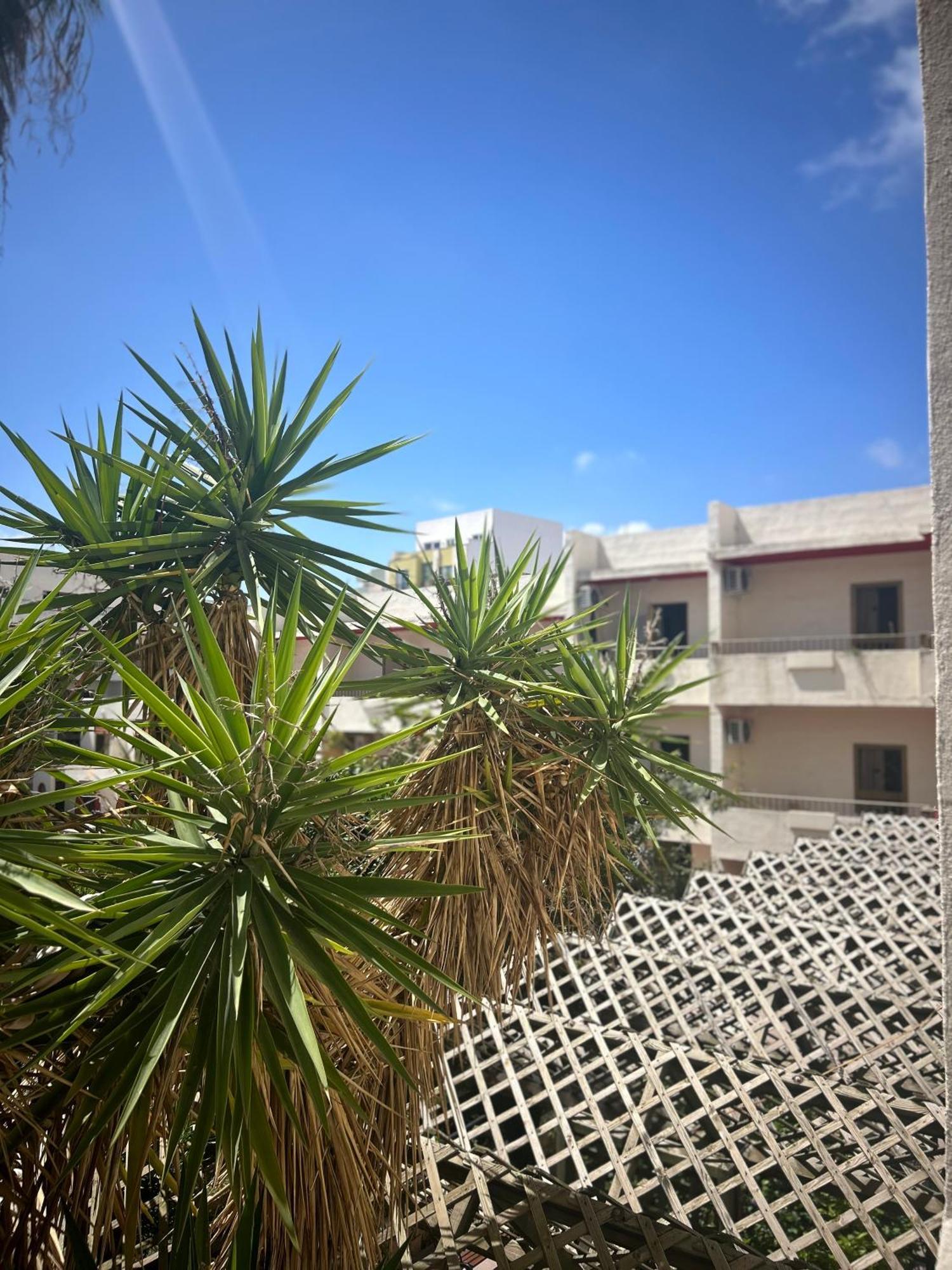The San Anton Hotel San Pawl il-Baħar Zewnętrze zdjęcie